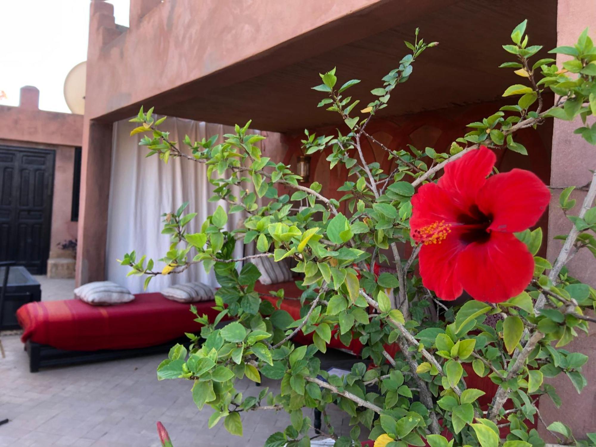 Hotel Dar Fangui Marrakesh Esterno foto
